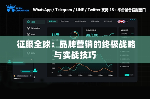  征服全球：品牌营销的终极战略与实战技巧