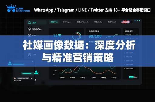  社媒画像数据：深度分析与精准营销策略
