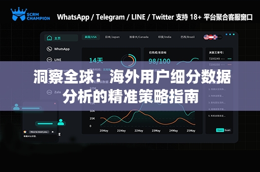  洞察全球：海外用户细分数据分析的精准策略指南