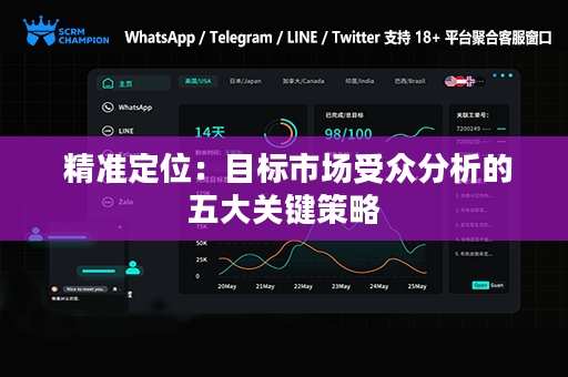 精准定位：目标市场受众分析的五大关键策略