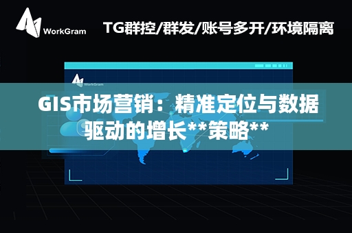  GIS市场营销：精准定位与数据驱动的增长**策略**