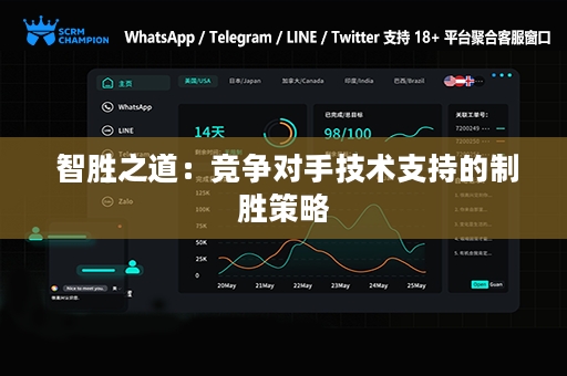 智胜之道：竞争对手技术支持的制胜策略