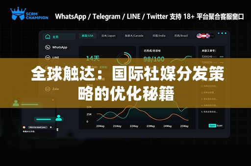  全球触达：国际社媒分发策略的优化秘籍