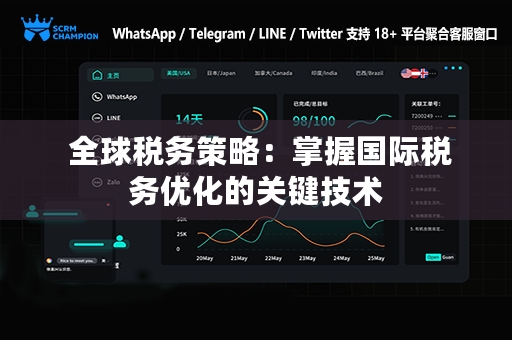  全球税务策略：掌握国际税务优化的关键技术