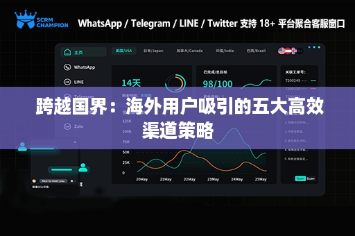  跨越国界：海外用户吸引的五大高效渠道策略