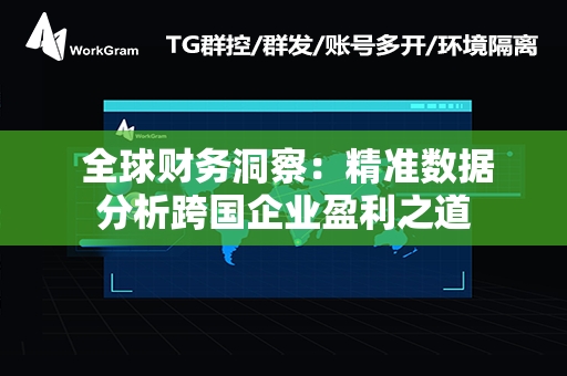  全球财务洞察：精准数据分析跨国企业盈利之道