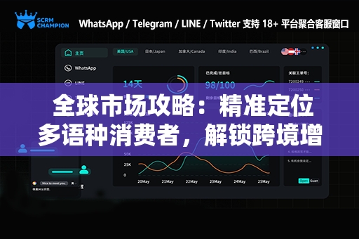  全球市场攻略：精准定位多语种消费者，解锁跨境增长机会