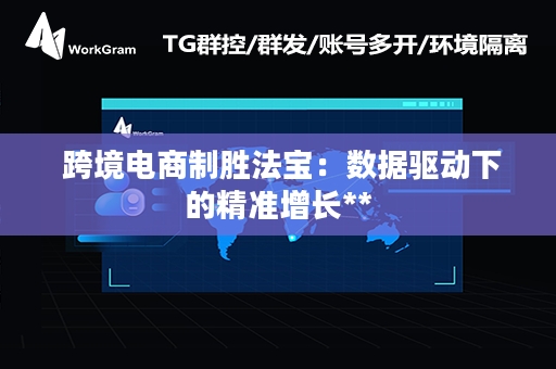  跨境电商制胜法宝：数据驱动下的精准增长**