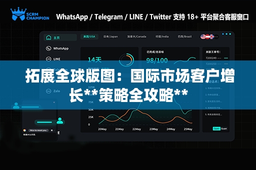  拓展全球版图：国际市场客户增长**策略全攻略**