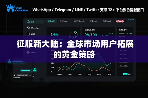  征服新大陆：全球市场用户拓展的黄金策略