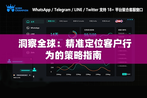  洞察全球：精准定位客户行为的策略指南