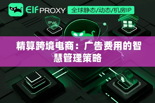  精算跨境电商：广告费用的智慧管理策略