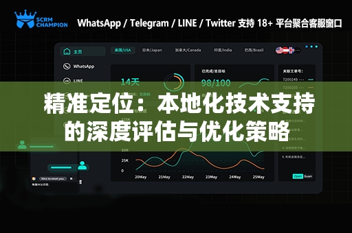  精准定位：本地化技术支持的深度评估与优化策略