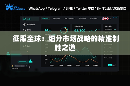  征服全球：细分市场战略的精准制胜之道