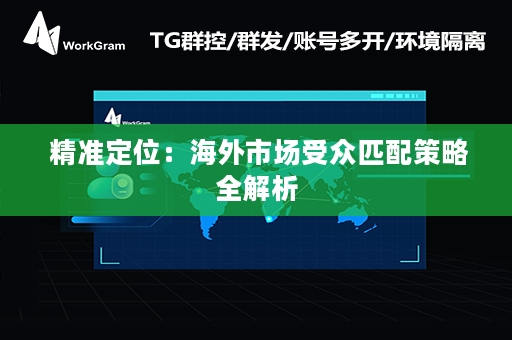  精准定位：海外市场受众匹配策略全解析