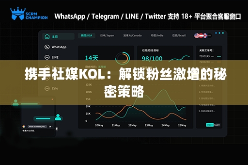  携手社媒KOL：解锁粉丝激增的秘密策略