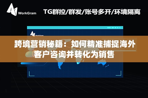  跨境营销秘籍：如何精准捕捉海外客户咨询并转化为销售