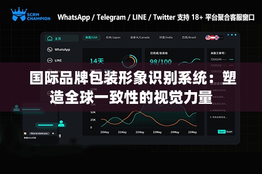  国际品牌包装形象识别系统：塑造全球一致性的视觉力量