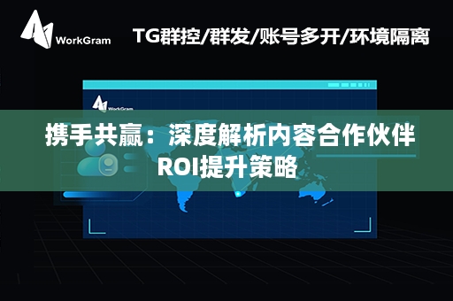  携手共赢：深度解析内容合作伙伴ROI提升策略