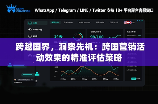  跨越国界，洞察先机：跨国营销活动效果的精准评估策略