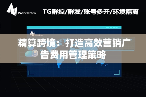  精算跨境：打造高效营销广告费用管理策略