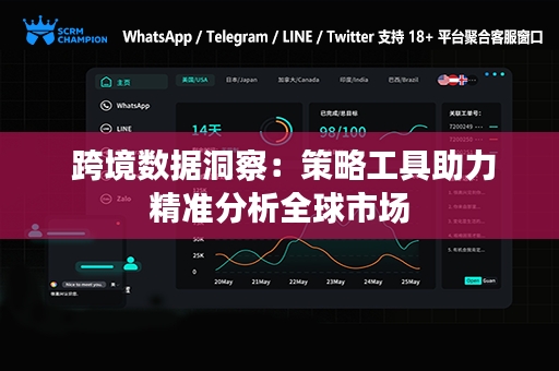  跨境数据洞察：策略工具助力精准分析全球市场