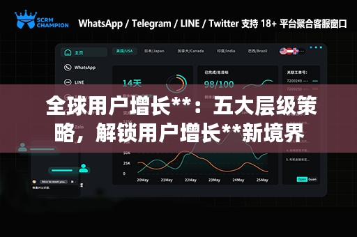  全球用户增长**：五大层级策略，解锁用户增长**新境界