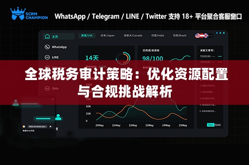  全球税务审计策略：优化资源配置与合规挑战解析