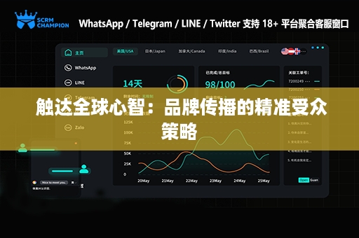  触达全球心智：品牌传播的精准受众策略