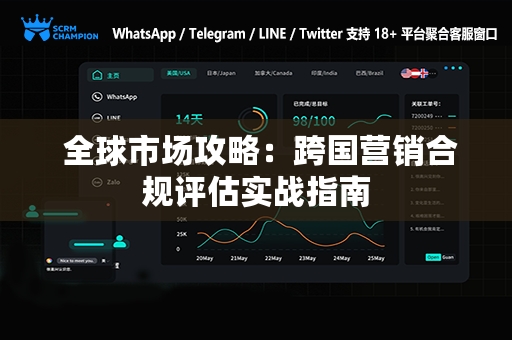  全球市场攻略：跨国营销合规评估实战指南