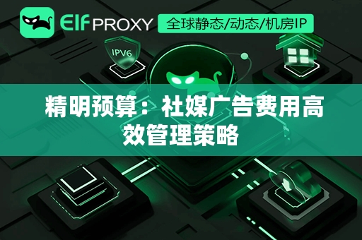  精明预算：社媒广告费用高效管理策略