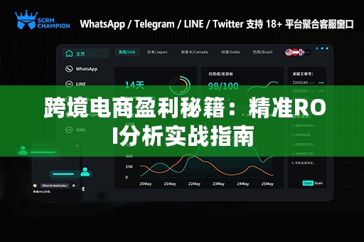  跨境电商盈利秘籍：精准ROI分析实战指南