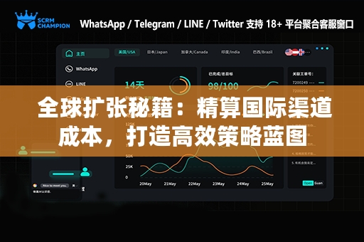  全球扩张秘籍：精算国际渠道成本，打造高效策略蓝图