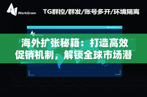  海外扩张秘籍：打造高效促销机制，解锁全球市场潜力