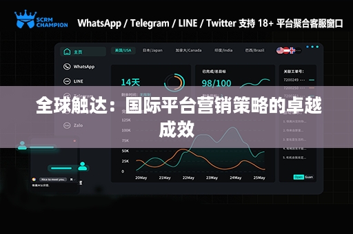  全球触达：国际平台营销策略的卓越成效