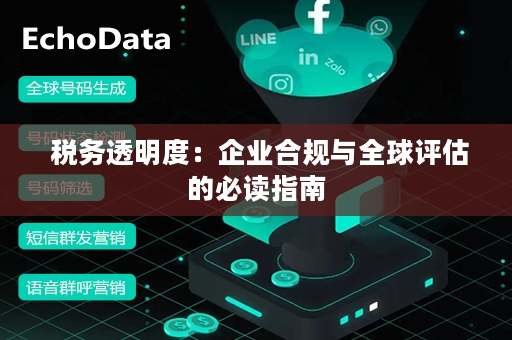  税务透明度：企业合规与全球评估的必读指南