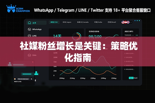  社媒粉丝增长是关键：策略优化指南