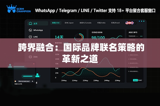  跨界融合：国际品牌联名策略的革新之道