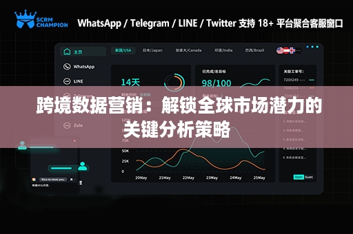  跨境数据营销：解锁全球市场潜力的关键分析策略