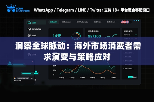  洞察全球脉动：海外市场消费者需求演变与策略应对