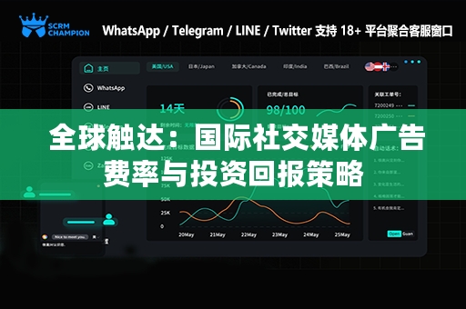  全球触达：国际社交媒体广告费率与投资回报策略
