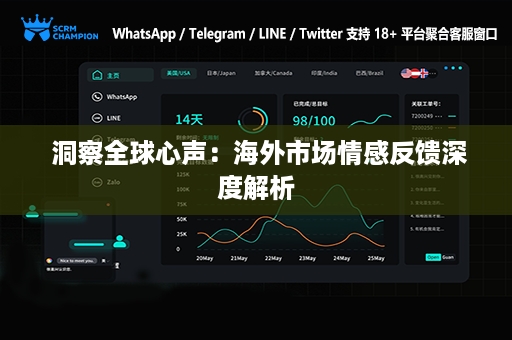  洞察全球心声：海外市场情感反馈深度解析