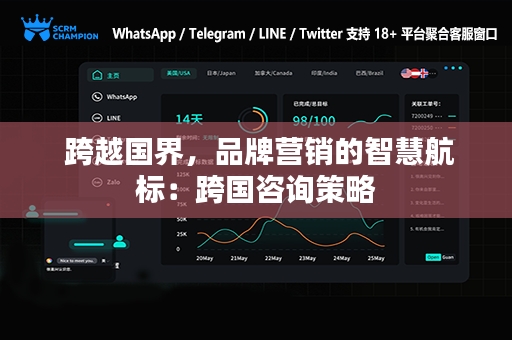  跨越国界，品牌营销的智慧航标：跨国咨询策略