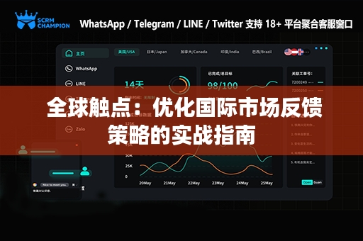  全球触点：优化国际市场反馈策略的实战指南