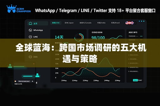  全球蓝海：跨国市场调研的五大机遇与策略