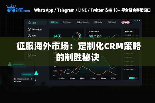  征服海外市场：定制化CRM策略的制胜秘诀