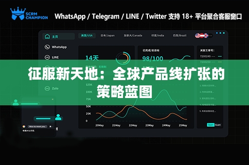 征服新天地：全球产品线扩张的策略蓝图