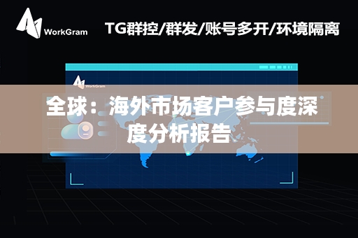  全球：海外市场客户参与度深度分析报告