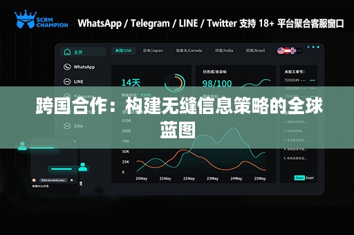  跨国合作：构建无缝信息策略的全球蓝图