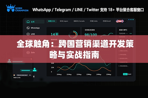  全球触角：跨国营销渠道开发策略与实战指南